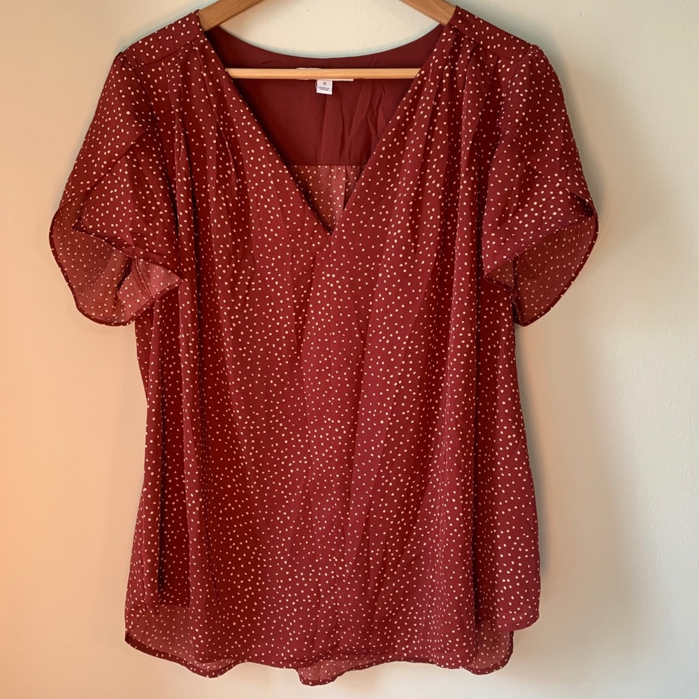 41 Hawthorn short sleeve polka dot burgundy top 1X
